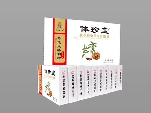 体珍宝茯苓蛹虫草 500mg/片 × 12片/盒 × 10盒 商品图2