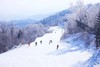 哈尔滨亚布力雪乡环线6天5晚亲子营（2025冬令营） 商品缩略图2
