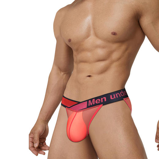 PUMP男士三角内裤 MP2801 商品图5