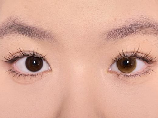 Sondercon半年抛-白桃奶杏 商品图12