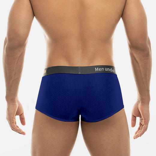 PUMP男士平角内裤MP293 商品图3