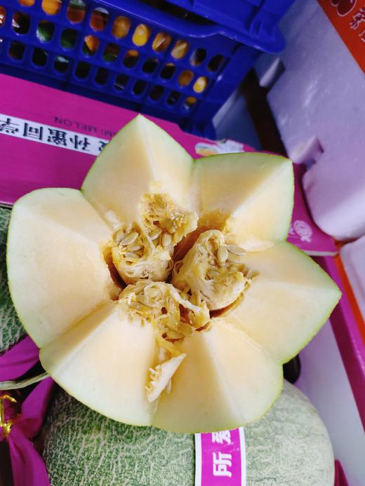 孙蜜同学甜脆蜜瓜一个 商品图3