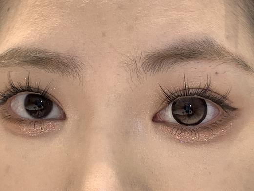 Sondercon半年抛-奶油泰迪 商品图9