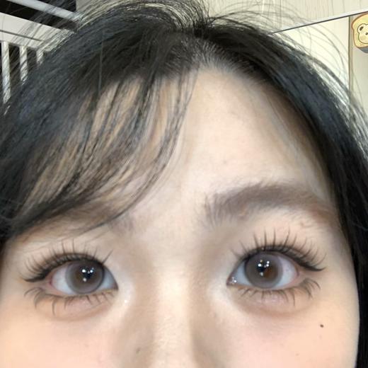 Sondercon半年抛-粉雾郁金 商品图2