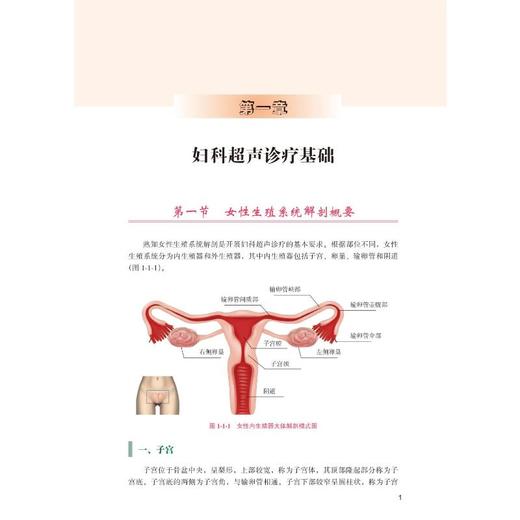 妇科超声诊疗思维 商品图2