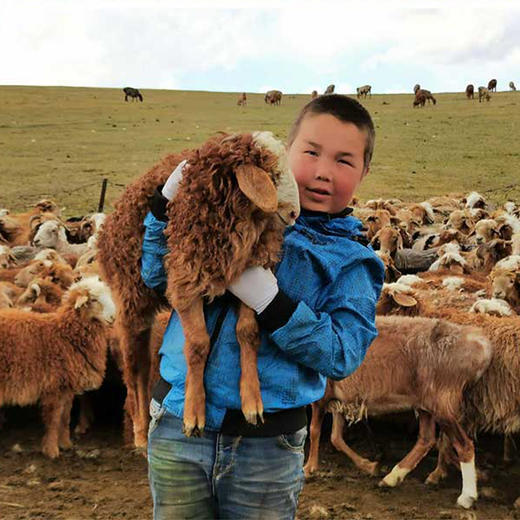 新疆牛/羊肉组合装臻品礼盒 商品图6