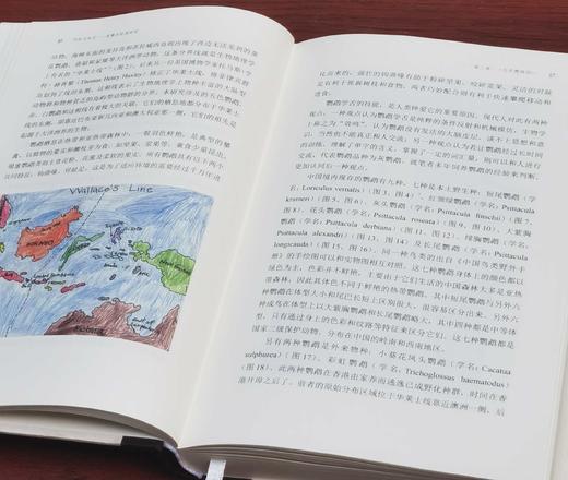 毛笔签名本！！！《所知与所见：宋徽宗绘画研究》（毛笔签名本），周高宇著，小16开，精装，334页，中国美术学院出版社2023年12月一版一印。定价118，售价118元。普通版89 商品图5