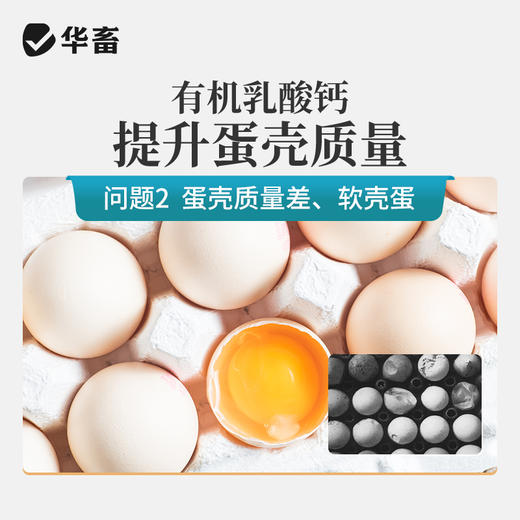 华畜乳钙 优能钙1L 选用有机钙吸收更充分 商品图2
