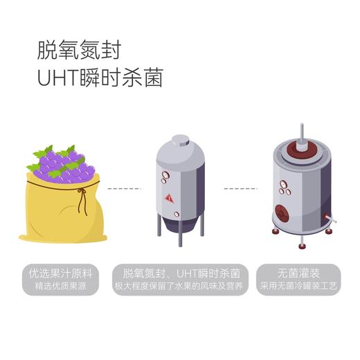 东来100%葡萄复合果汁1L 商品图4