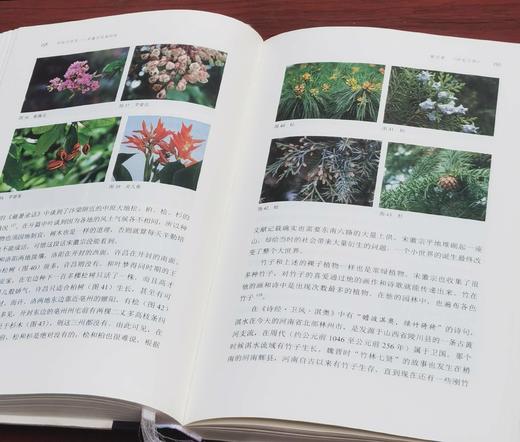 毛笔签名本！！！《所知与所见：宋徽宗绘画研究》（毛笔签名本），周高宇著，小16开，精装，334页，中国美术学院出版社2023年12月一版一印。定价118，售价118元。普通版89 商品图13