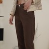 【现货】臣禾 咖色加绒老爹裤休闲裤 JZ244060258 商品缩略图8