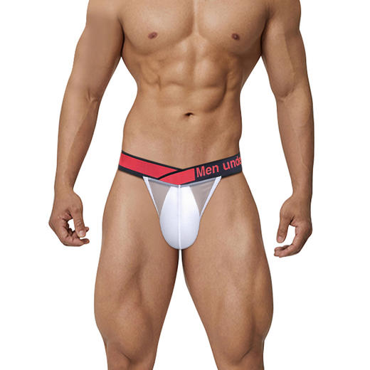 PUMP男士三角内裤 MP2801 商品图2