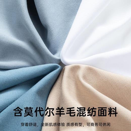 【含绵羊毛+莫代尔】圣得西男士纯色商务长袖衬衫2412952019A 商品图4