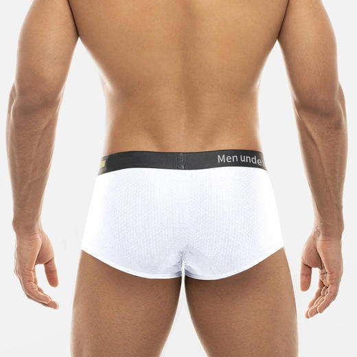 PUMP男士平角内裤MP293 商品图5