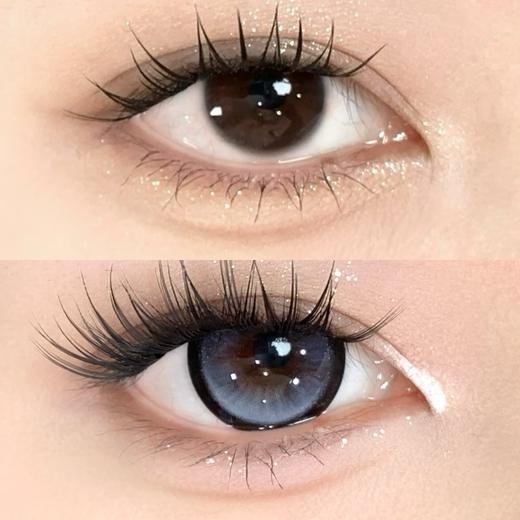 Sondercon半年抛-钻石暹罗 商品图6