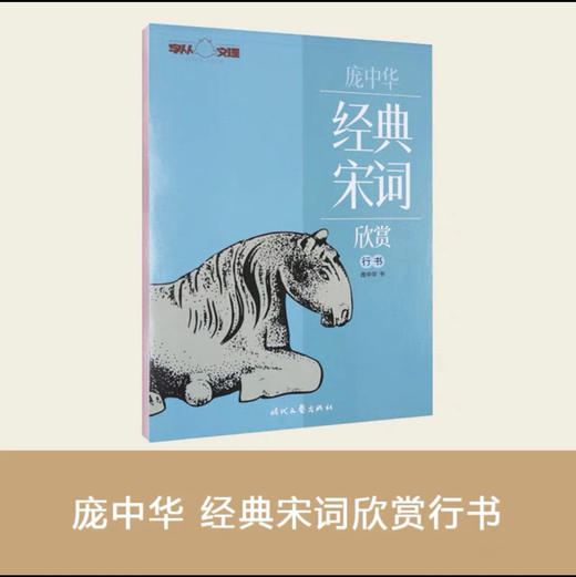 庞中华 行书宋词欣赏钢笔字帖 100g/件 商品图0