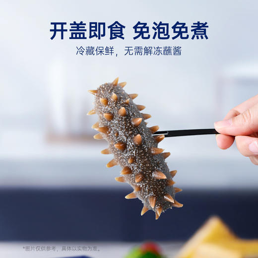 【5S单周尝鲜】  官栈5S鲜炖海参  120g*1（7只） 商品图1
