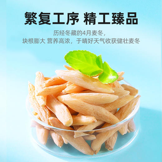【杞里香麦冬茶四川原产麦冬250g】麦冬煲粥泡茶泡水可搭配枸杞黄芪
四川麦冬 粒大饱满 根根有芯 商品图1