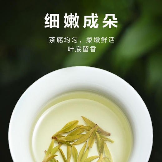 2026新茶• 春贡·明前龙井礼茶 狮峰珍品 大师级好茶150克（3罐*50g） 商品图4