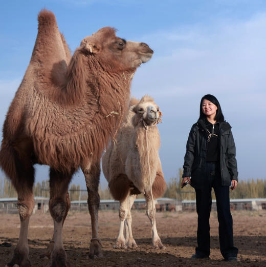 【驼初段乳】100%纯驼乳粉460g/罐✓双有机✓富硒✓低GI！多项专利低温锁鲜技术，不腥不膻，来自新疆阿克苏柯坪县双峰驼 ，驼奶粉 460g/罐 （20g*23条） 商品图9