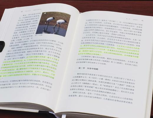 毛笔签名本！！！《所知与所见：宋徽宗绘画研究》（毛笔签名本），周高宇著，小16开，精装，334页，中国美术学院出版社2023年12月一版一印。定价118，售价118元。普通版89 商品图9