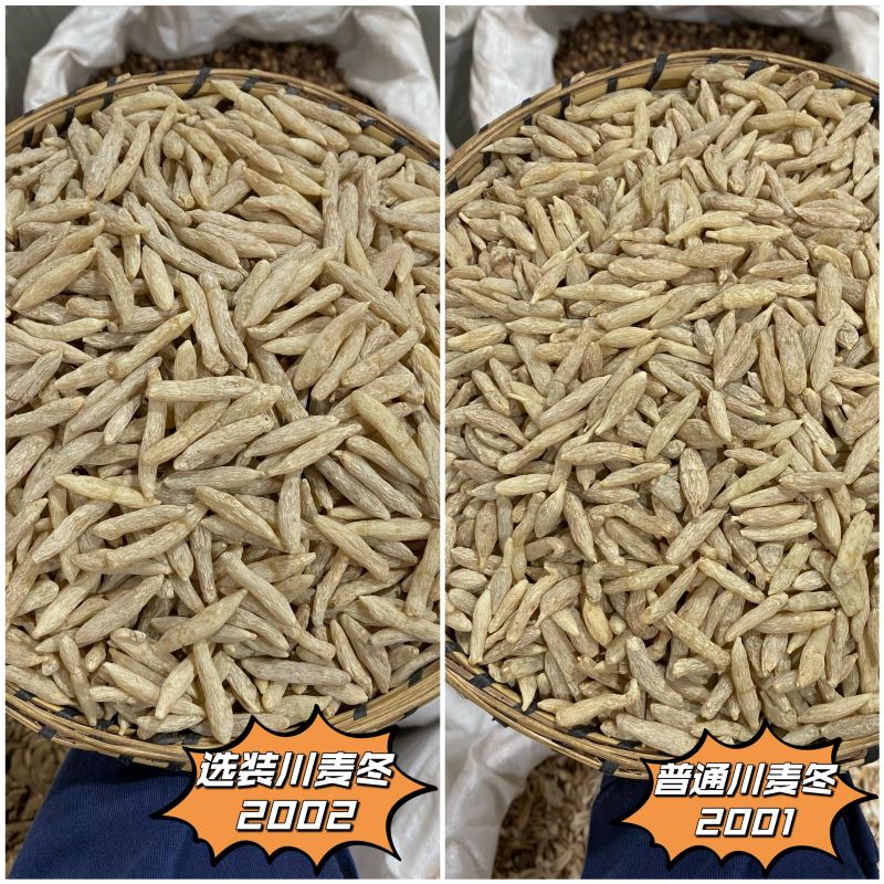 川麦冬  常用规格 川麦冬 特级大颗粒川麦冬