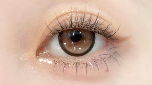 Sondercon半年抛-奶油泰迪 商品图3