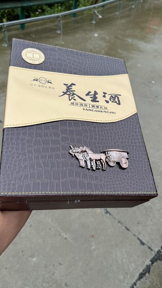 【鹿茸血养生酒  每瓶500ml ——左手寸脉不足，平时懒气少言，提不起精神，无名指和小手指甲没有月牙！仅少量内部供应！】 商品图5