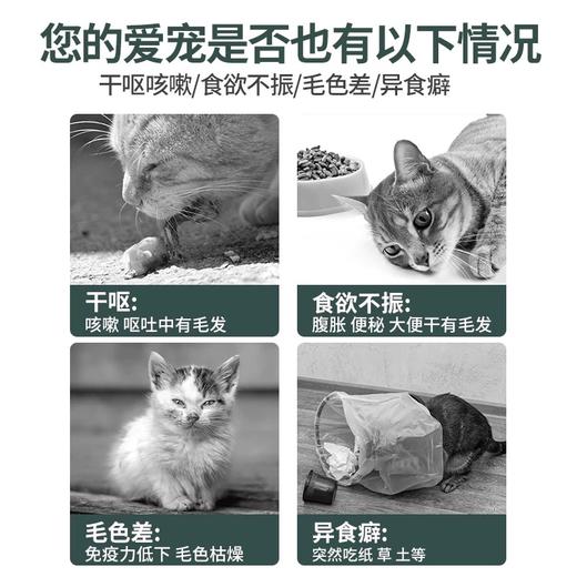 【品牌补贴买三送一】美施美康猫咪营养补充剂 猫咪营养膏猫条 泌尿呵护 美毛化毛 肠道健康 180g/盒 商品图3