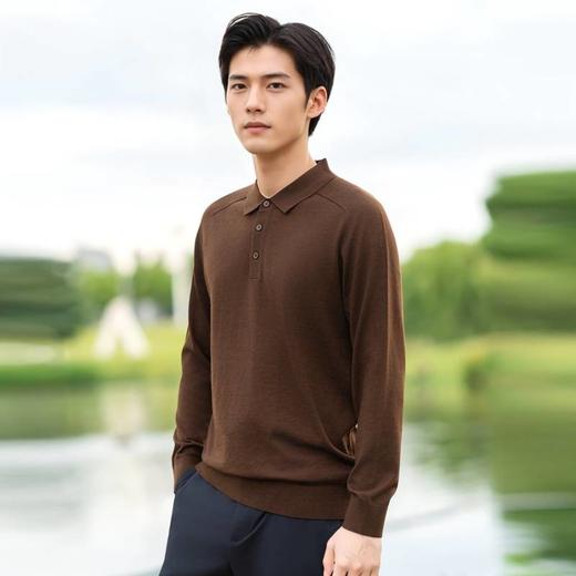 【云雅衫】圣得西男装含桑蚕丝+绵羊毛高弹翻领针织衫2452047317 商品图2