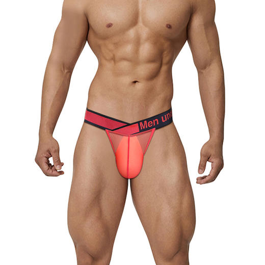 PUMP男士三角内裤 MP2801 商品图4