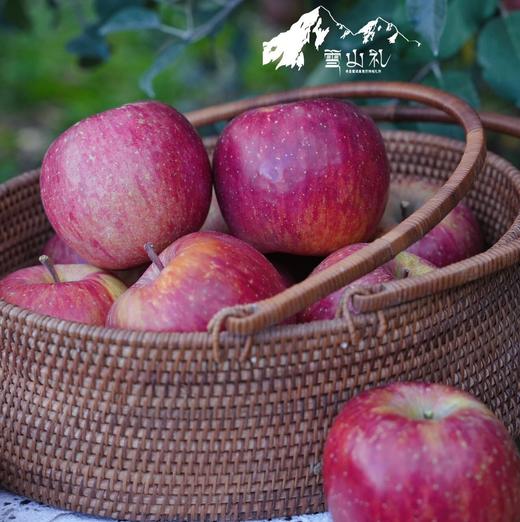 藏地苹果 | 雪山礼  （树上熟） 商品图4