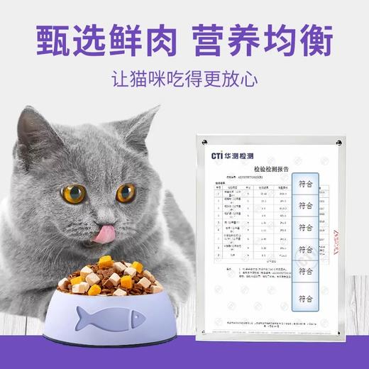 碧净雪猫粮2包试吃装   每包50g  为了保证活动公平，每人限参加一次 同个ip/同个地址/相近地址/虚构收货信息/多账号购买等批量异常下单，店铺有权对异常订单不发货且取消活动资格 商品图4