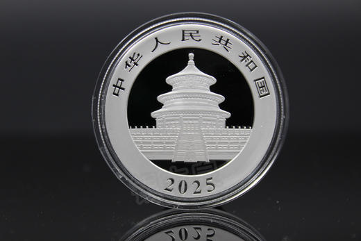 2025年熊猫30克银币 商品图3