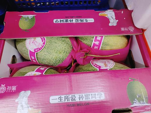 孙蜜同学甜脆蜜瓜一个 商品图1