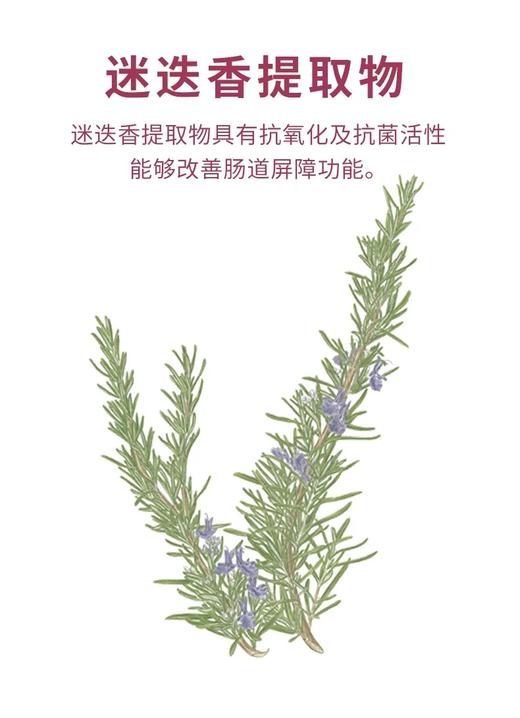 【品牌补贴买三送一】美施美康猫咪营养补充剂 猫咪营养膏猫条 泌尿呵护 美毛化毛 肠道健康 180g/盒 商品图2