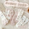 年货节！破价！水貂绒袜子女冬季加绒袜加厚保暖珊瑚绒月子袜居家保暖地板袜 商品缩略图3