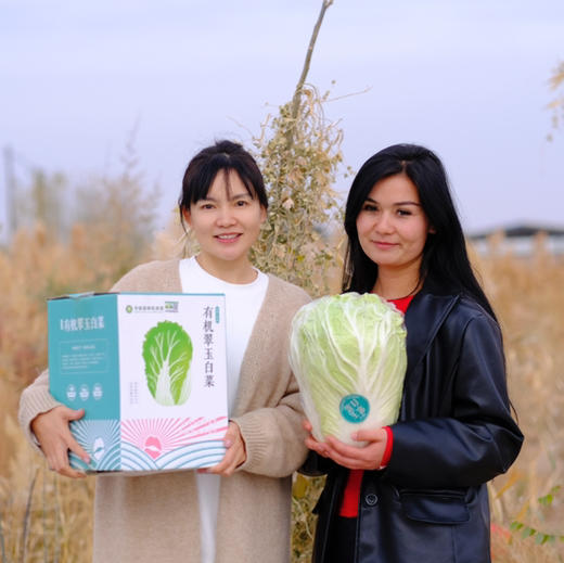 2025新鲜上市【新疆有机翠玉白菜】喝天山雪水长大 一年只一茬！汁水甘甜 纤维细 大自然的味道 商品图0