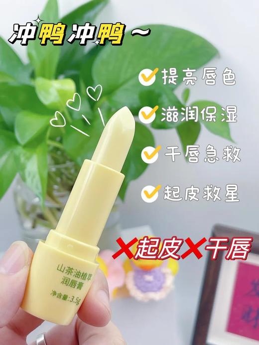 🌈在秋冬季节【茶比山茶油植萃护唇膏】，🌟保持唇部的水润和滋润是非常重要的！☀️ 因为干燥的空气和低温容易让嘴唇变得干裂、脱皮。 商品图1