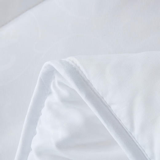 罗莱家纺 LUOLAI 羊毛被保暖被子澳洲进口羊毛被被芯被子 沁暖澳洲羊毛抗菌被 200*230cm LS 商品图3