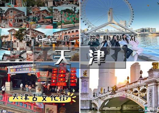 【天津海鸥】西伯利亚海鸥来袭-滨海看海鸥-打卡古文化街-意式风情区-五大道 商品图0