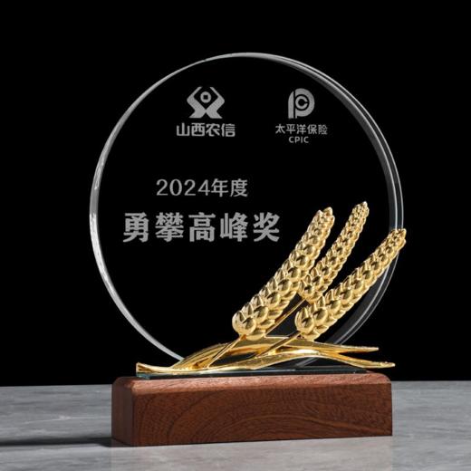奖杯014款 商品图0