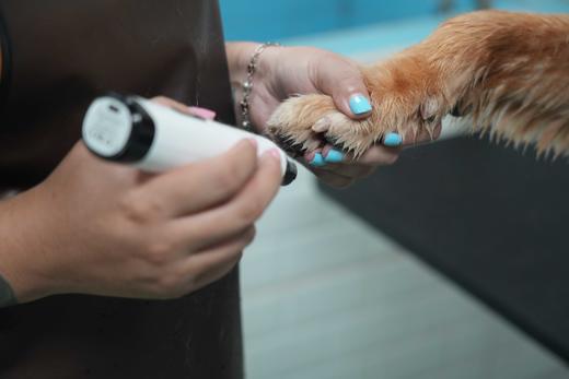 犬儿洁浴 商品图13