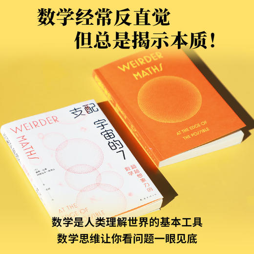 支配宇宙的7:超越想象力的数学 商品图2