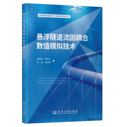 悬浮隧道流固耦合数值模拟技术 商品图2