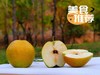 有机雨露香梨 商品缩略图1