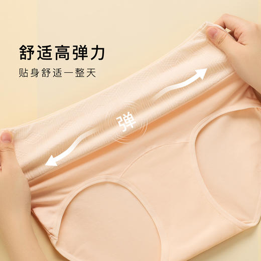 撞色大码高腰内裤4条装100%纯棉抑菌裆大包臀不卷边高弹内裤2007撞色高腰内裤4条装 商品图6