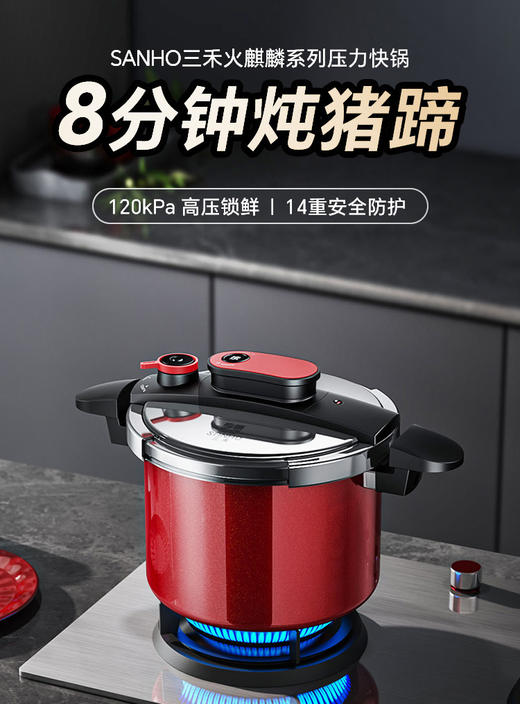 三禾 加厚防爆降噪超快 压力锅  电磁炉 燃气灶通用 22cm 直径 6L容量 新品 商品图0