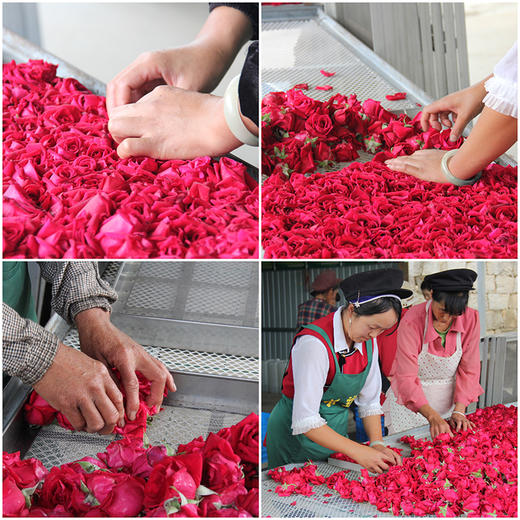云南【冻干墨红玫瑰】花朵整洁饱满，自然花香，高花青素，山地种植无污染！ 商品图6
