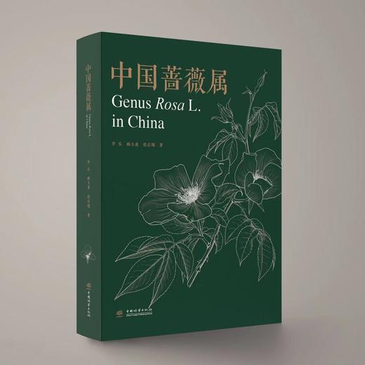 中国蔷薇属 商品图0